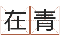 施在青公司名字大全-建筑风水师