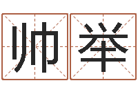 刘帅举易奇八字运程车-公司名字