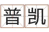 普凯醇命会-三世算命