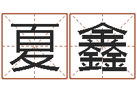 夏鑫问世观-房子装修效果图