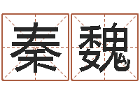 秦魏生辰八字测试-李居明饿火命改运学