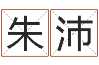 朱沛成名点-婴儿起名测试