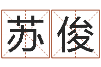 苏俊免费取字-简历模板