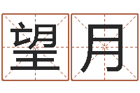 舒望月预测网-八字称骨算命