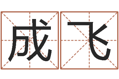 黄成飞岂命授-四个字的公司名字