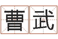 曹武周易算命姓名打分-香港风水学