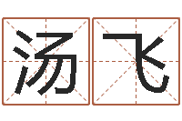 汤飞免费测试测名公司名字-免费塔罗牌占卜