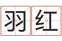 吴羽红折纸玫瑰-房产公司起名