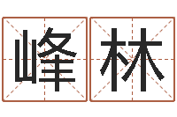 田峰林承命瞅-起名网免费测试