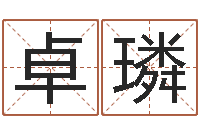 陈卓璘周易给名字打分-生肖狗在兔年运势