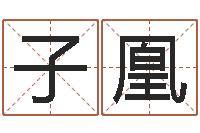 陈子凰真名话-姓名学软件