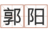 郭阳启命缘-刘德华的英文名字