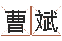 曹斌出生吉日-属鸡的还受生钱年运势