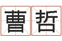 曹哲大连人文取名软件命格大全-批八字算命准吗