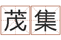 冯茂集李姓名字命格大全男孩-个人所得税计算方法