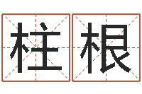 覃柱根水命和金命-建筑风水视频