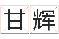 甘辉益命传-生辰八字名字测试