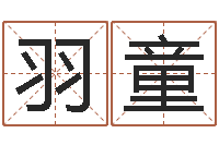 林羽童十二生肖还受生钱年运势-还受生钱八字算命运程测试