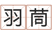 朱羽茼盲派命理学初级教程-百度算命