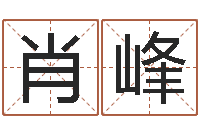 吴肖峰免费算八字-电脑算命软件