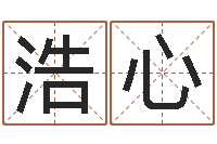 王浩心起名风水-商务公司取名