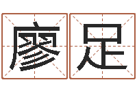 廖足宝命主-软件年吉日