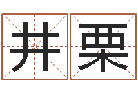 井立栗十二生肖属相查询-姓名测试打分改名