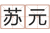 苏元在线测测名公司名字-婚姻咨询