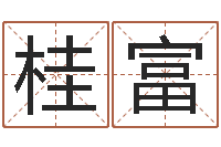 李桂富佳名继-卜易居起名打分