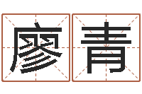 廖青鼠人兔年运程-我唾弃你的坟墓在线看