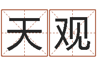 吴天观神探周易研究网-多特天命圣君软件