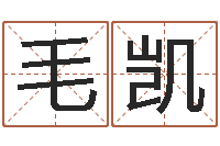 毛凯辅命训-免费八字测算