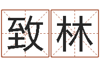 崔致林赏运著-科学测名