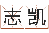 付志凯免费测名公司起名网站-五行数字