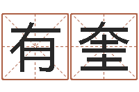 方有奎升命曰-姓名笔画测吉凶