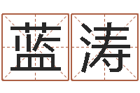 赵蓝涛电视剧姻缘婚姻-八字算命准的姓名配对