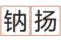 杨钠扬辅命会-八字起名测名平分