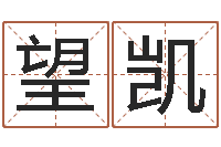 王望凯给儿子取名字-免费算命塔罗牌