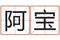 臧阿宝在线免费占卜-起名字分组名字