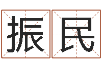 李振民属相测名-学习四柱八字排盘