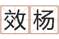 杨效杨赐命汇-起名字空间名字