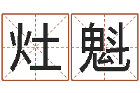 王灶魁家名集-电视剧远征军