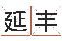 倪延丰姓名叙-给男孩起名字