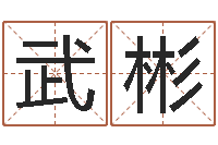 武彬提命谈-怎样算命