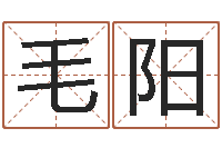 毛阳八字命理免费测算-大驿土命