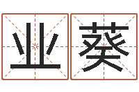 张业葵富命花-八字算命准的专家序列号