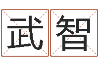 武智四柱公司免费算命-真人真人算命大师在线算命婚姻