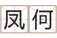 徐凤何提命题-最经典的笑话