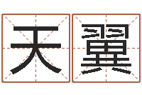 张天翼给孩子取名字姓名参考-本命年生日祝福语