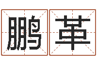 苗鹏革袁世凯命格得的八字-你是我的命运在线观看